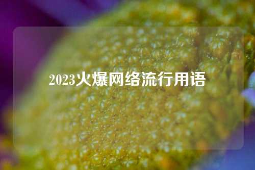 2023火爆网络流行用语