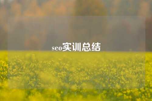 seo实训总结