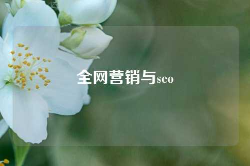 全网营销与seo