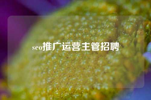 seo推广运营主管招聘