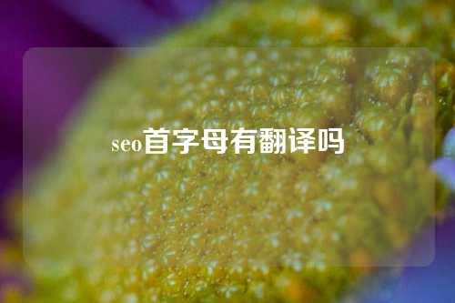 seo首字母有翻译吗