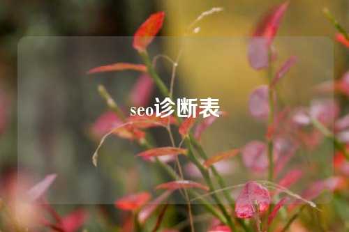 seo诊断表