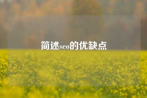 简述seo的优缺点