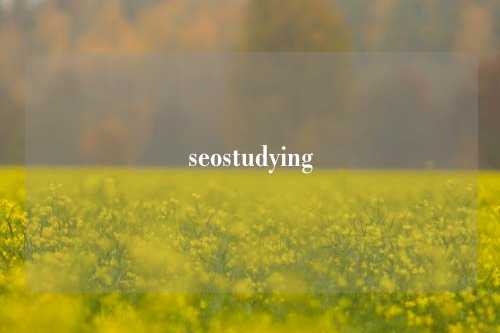 seostudying