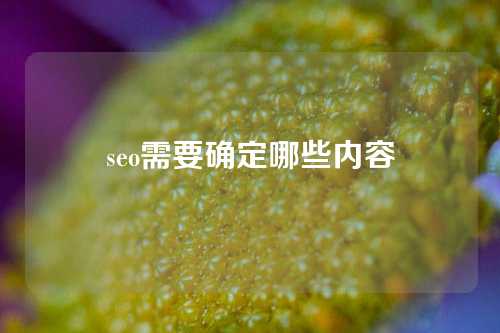 seo需要确定哪些内容