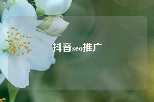 抖音seo推广