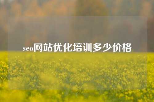 seo网站优化培训多少价格