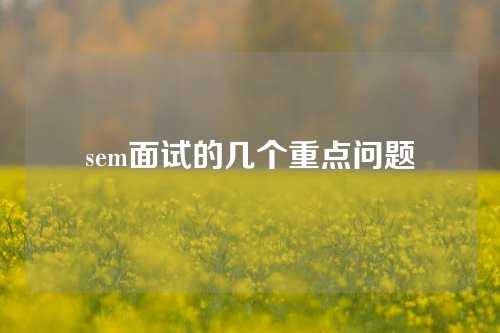 sem面试的几个重点问题