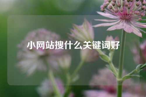 小网站搜什么关键词好