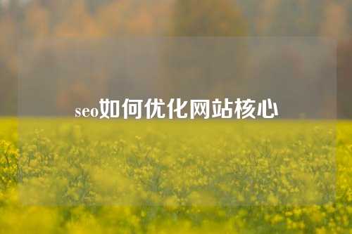 seo如何优化网站核心