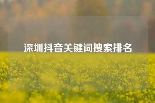 深圳抖音关键词搜索排名