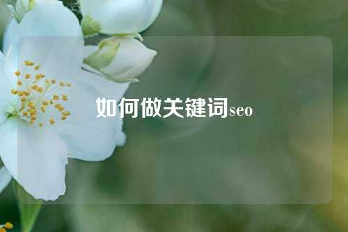 如何做关键词seo