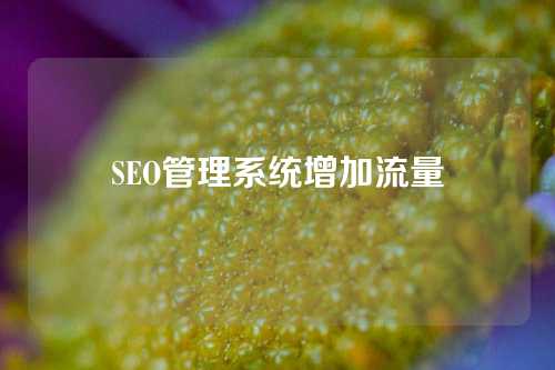 SEO管理系统增加流量