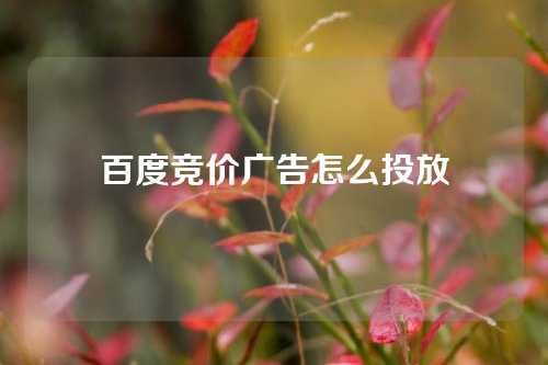 百度竞价广告怎么投放