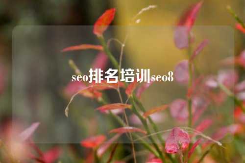 seo排名培训seo8