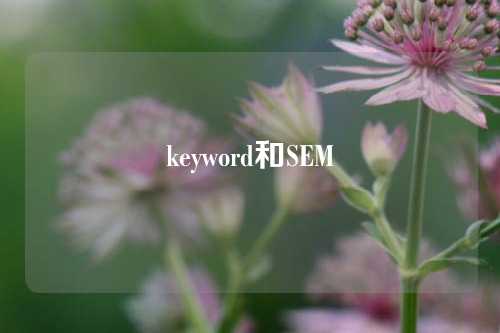 keyword和SEM