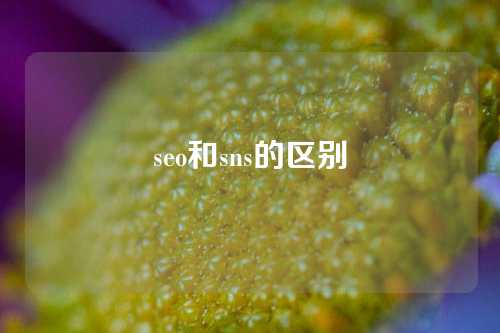 seo和sns的区别