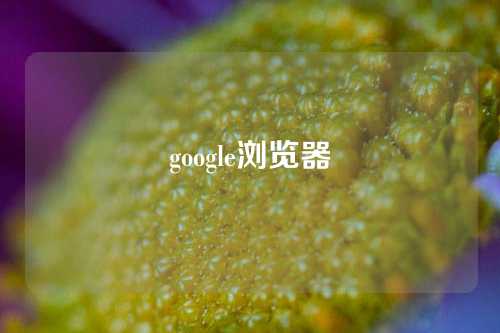 google浏览器