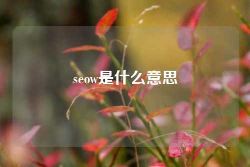 seow是什么意思