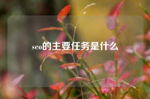 seo的主要任务是什么