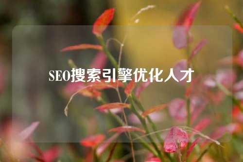 SEO搜索引擎优化人才