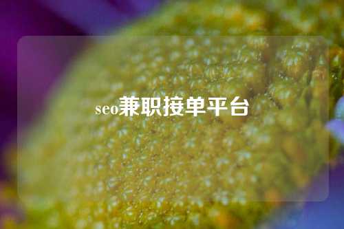 seo兼职接单平台