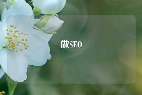 做SEO