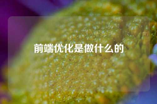 前端优化是做什么的