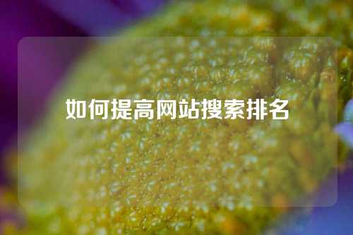 如何提高网站搜索排名