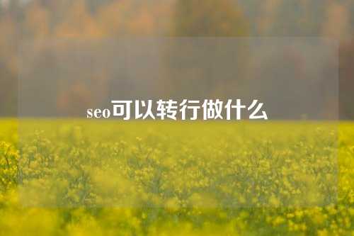 seo可以转行做什么