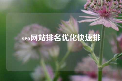 seo网站排名优化快速排