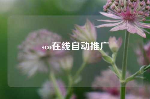 seo在线自动推广