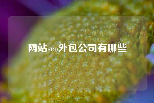 网站seo外包公司有哪些