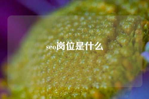 seo岗位是什么