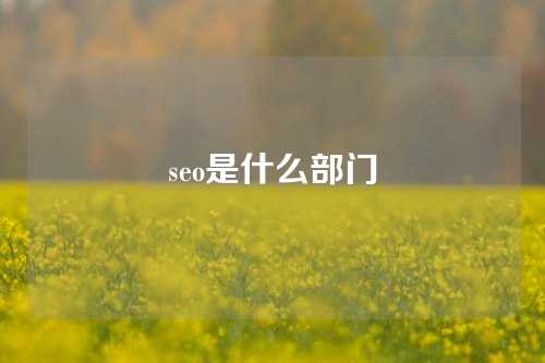 seo是什么部门