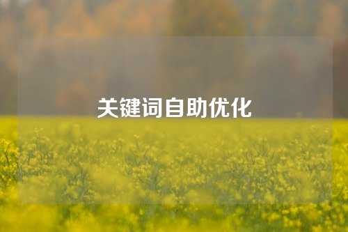 关键词自助优化