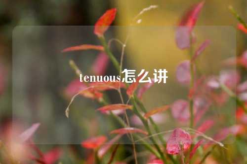 tenuous怎么讲