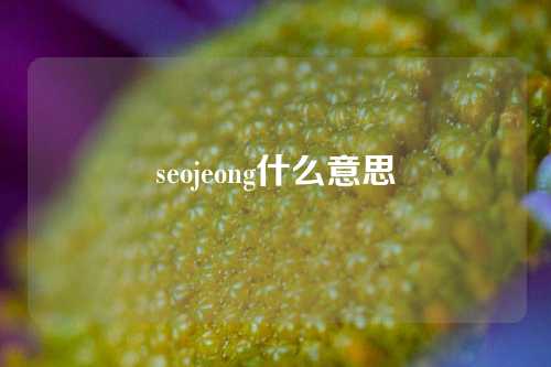 seojeong什么意思