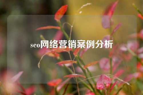 seo网络营销案例分析