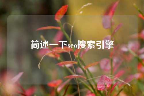 简述一下seo搜索引擎