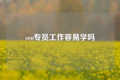 seo专员工作容易学吗