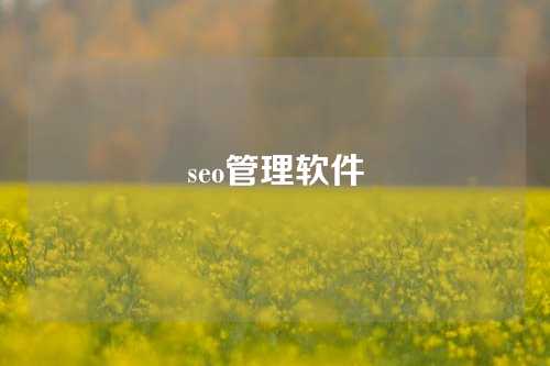 seo管理软件