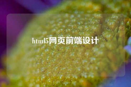 html5网页前端设计