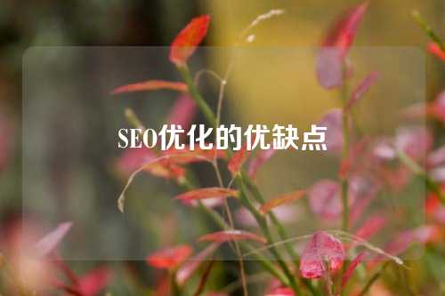 SEO优化的优缺点