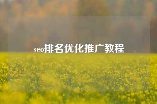 seo排名优化推广教程