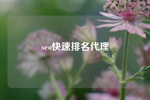 seo快速排名代理