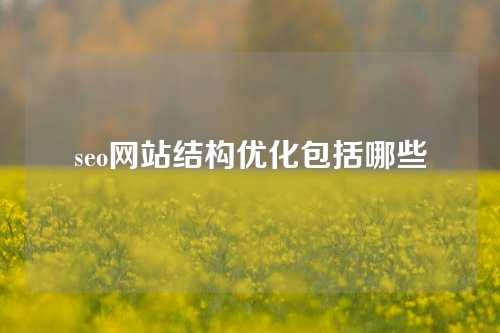 seo网站结构优化包括哪些