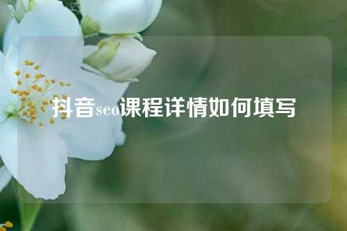 抖音seo课程详情如何填写