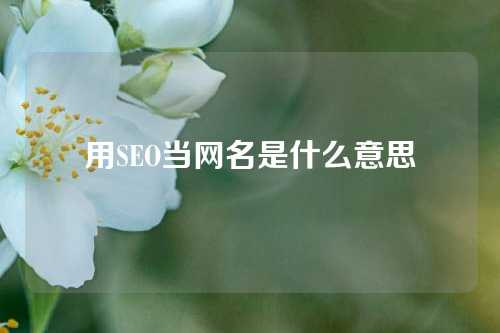 用SEO当网名是什么意思