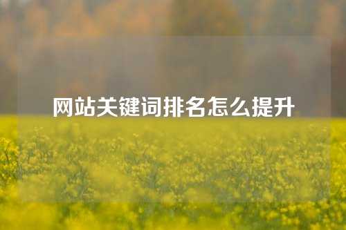 网站关键词排名怎么提升